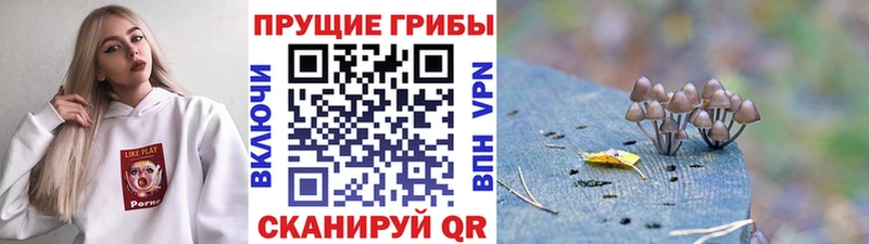 продажа наркотиков  Руза  Псилоцибиновые грибы MAGIC MUSHROOMS 